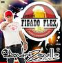 CD FIGADO FLEX VOLUME 2 DJ ANDRE ZANELLA