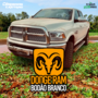 DODGE RAM BODAO BRANCO