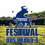 FESTIVAL DOS BRABOS