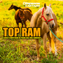 CD CAVALO TOP RAM