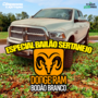 DODGE RAM BODAO BRANCO MODAO