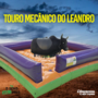 TOURO MECANICO DO LEANDRO