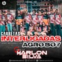 CD CARRETAS INTERLIGADAS AGROBOY VOL-03