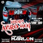 CD STRADA AGRO BOI VOL-01