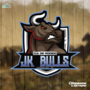 CIA DE RODEIO JK BULLS